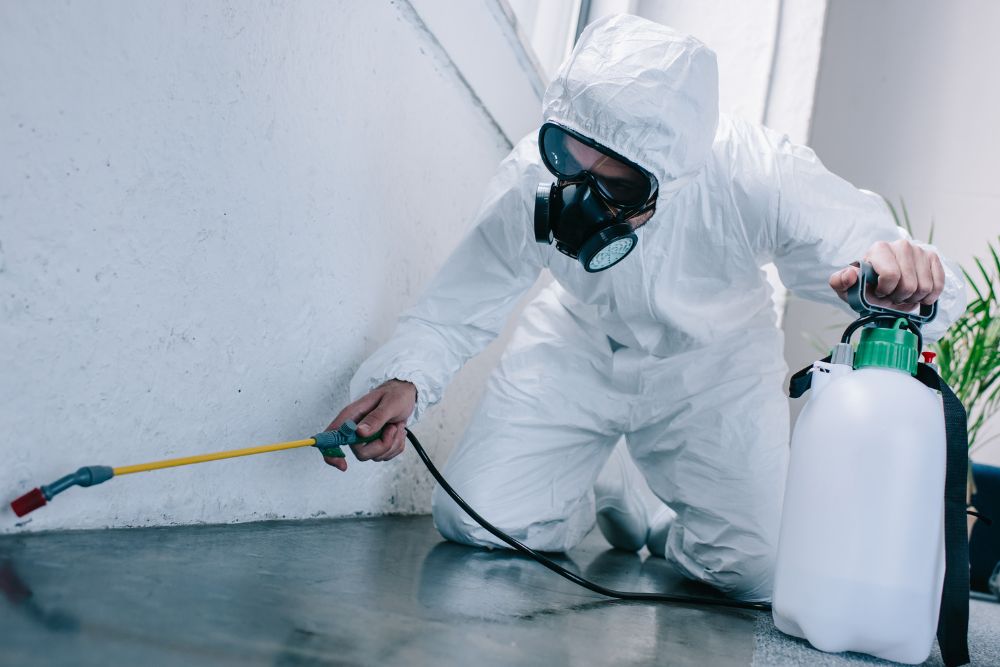 Keep Your Home Pest-Free with These Effective Pest Control Methods