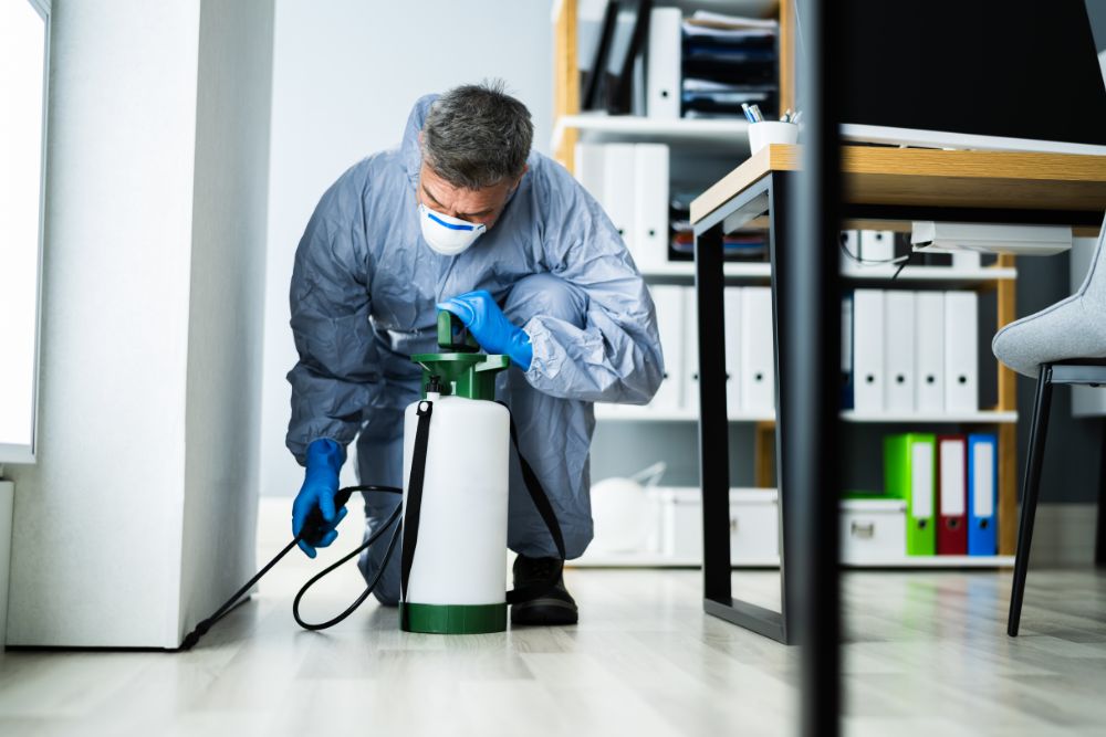 Keeping Your Home Free From Pests: Essential Pest Control Services