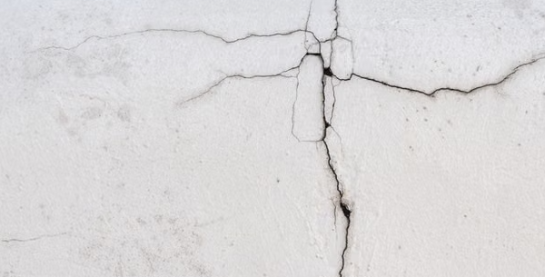 Practical Tips for Pest Proofing Your Home